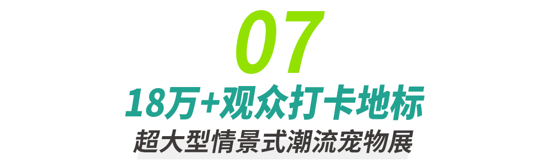 19.png