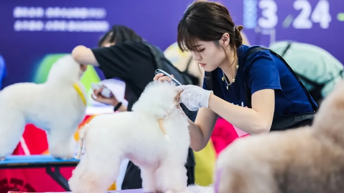 微信截图_20241010184847.png