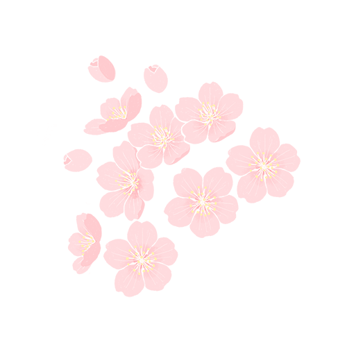 微信图片_20241028101451.png