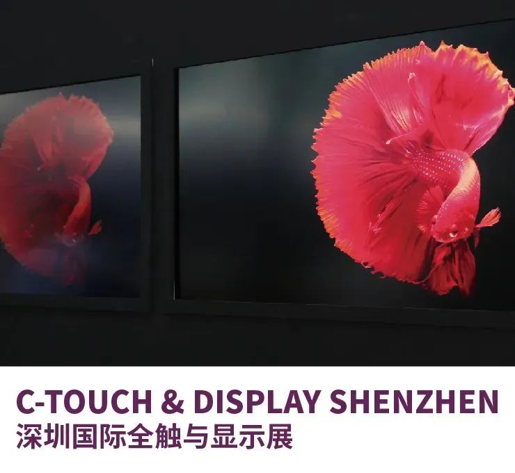 微信图片_20241101145938.jpg