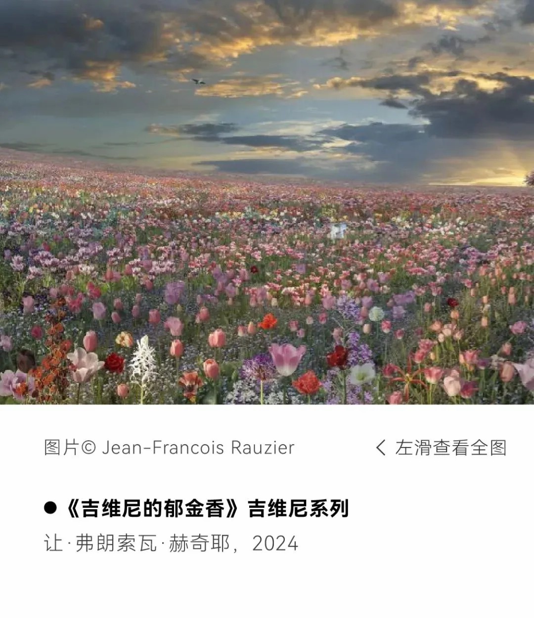 微信图片_20241115112901.jpg