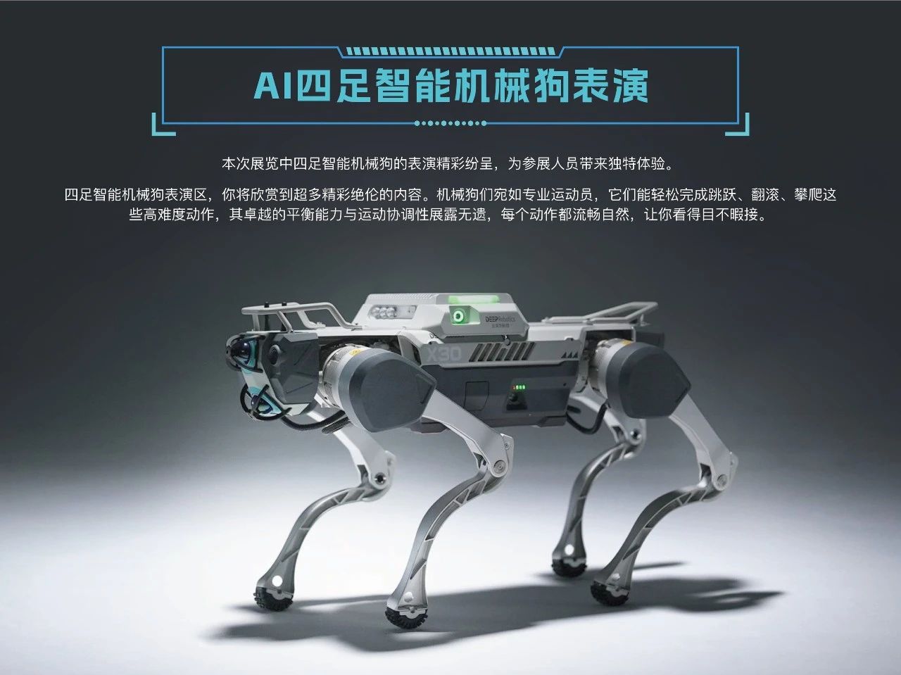 微信图片_20250312163946.jpg