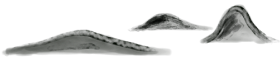 微信图片_20250410104724.png