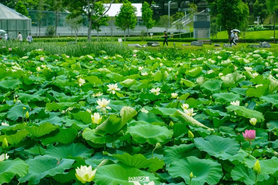 微信图片_20250616141811.jpg