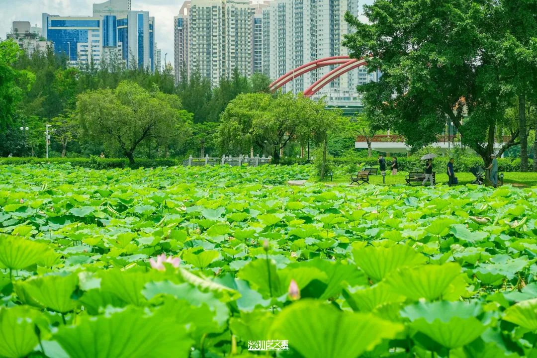 微信图片_20250616141812.jpg