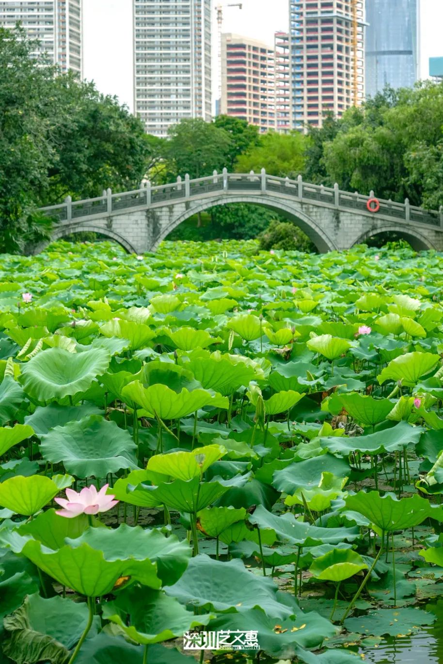 微信图片_20250616141816.jpg