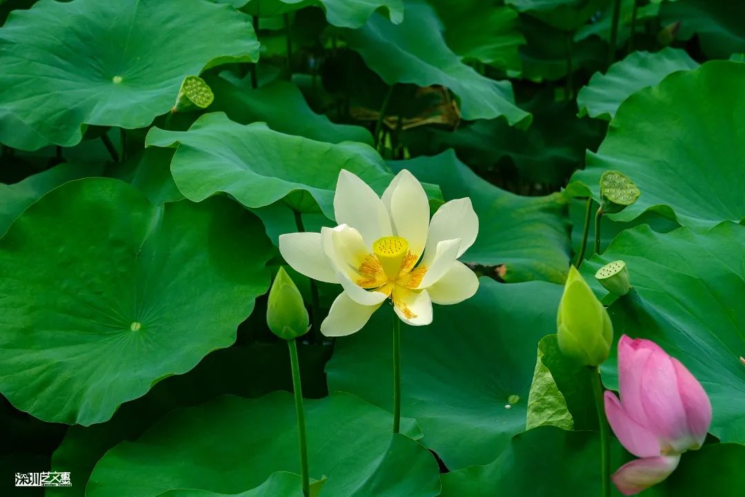 微信图片_20250616141931.jpg