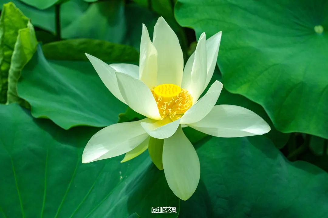 微信图片_20250616141933.jpg