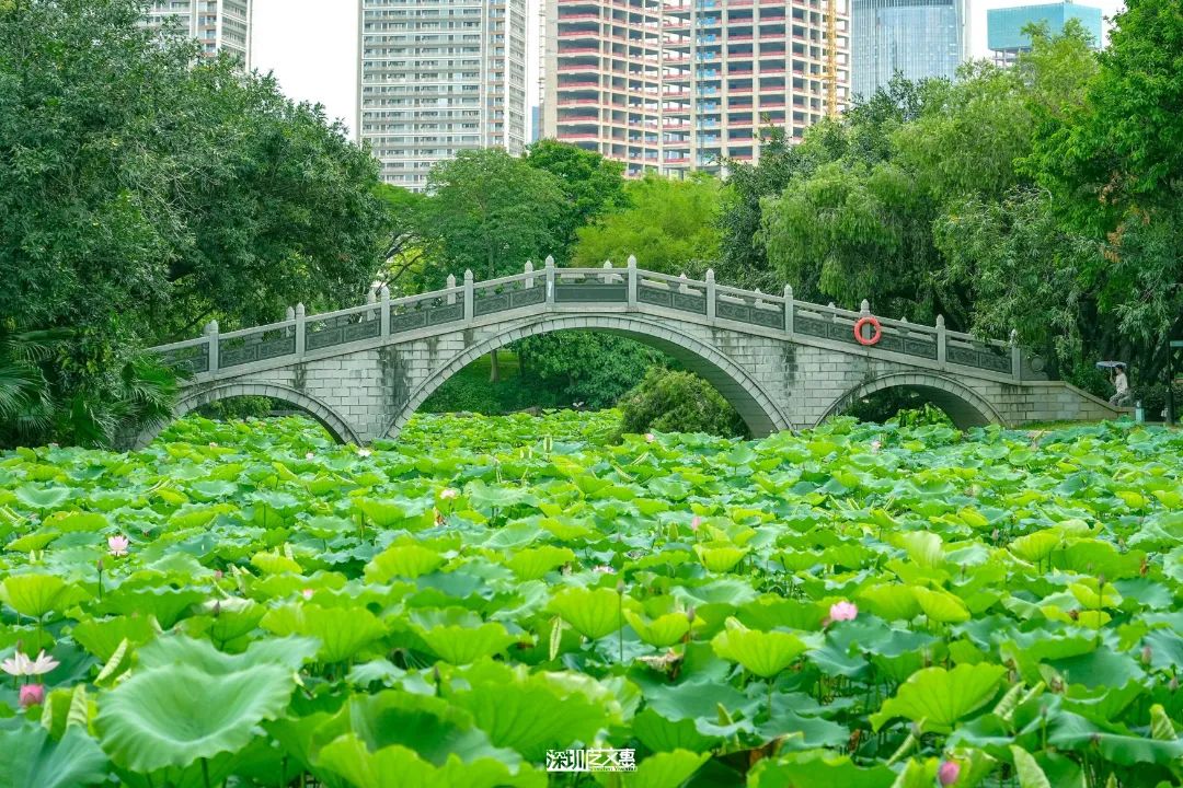 微信图片_20250616142256.jpg