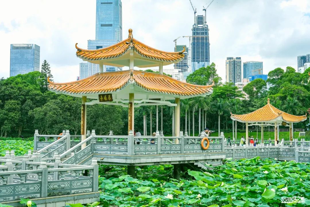 微信图片_20250616142258.jpg