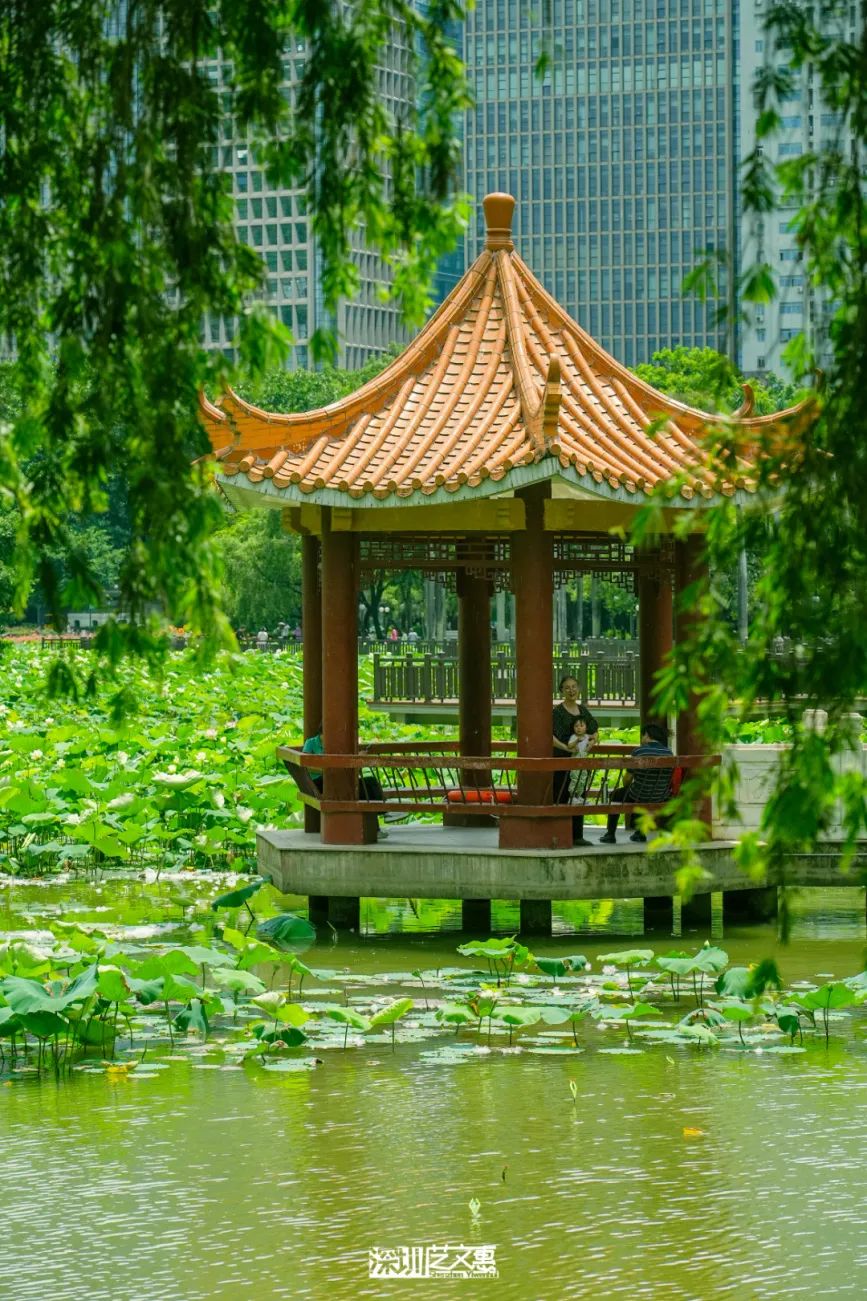 微信图片_20250616142300.jpg