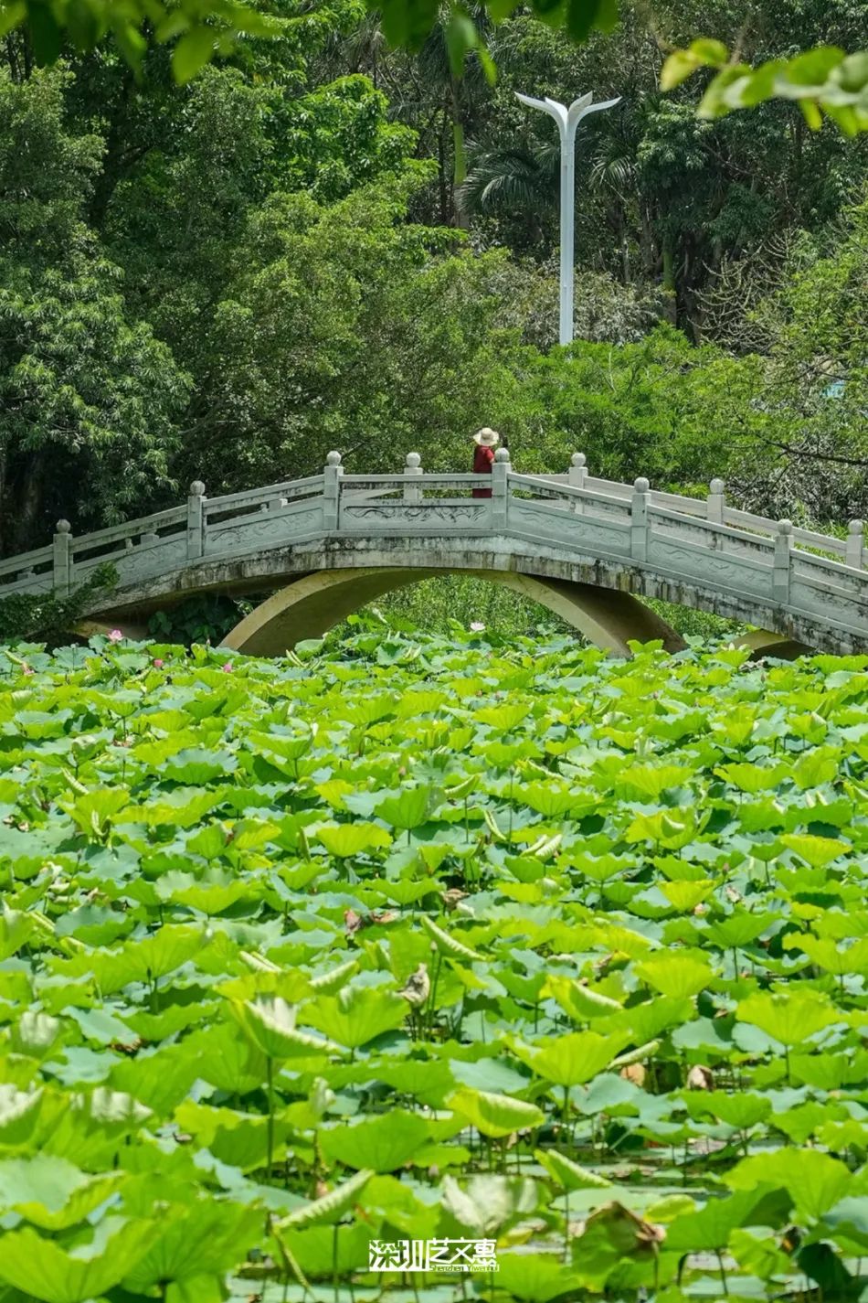 微信图片_20250616142304.jpg