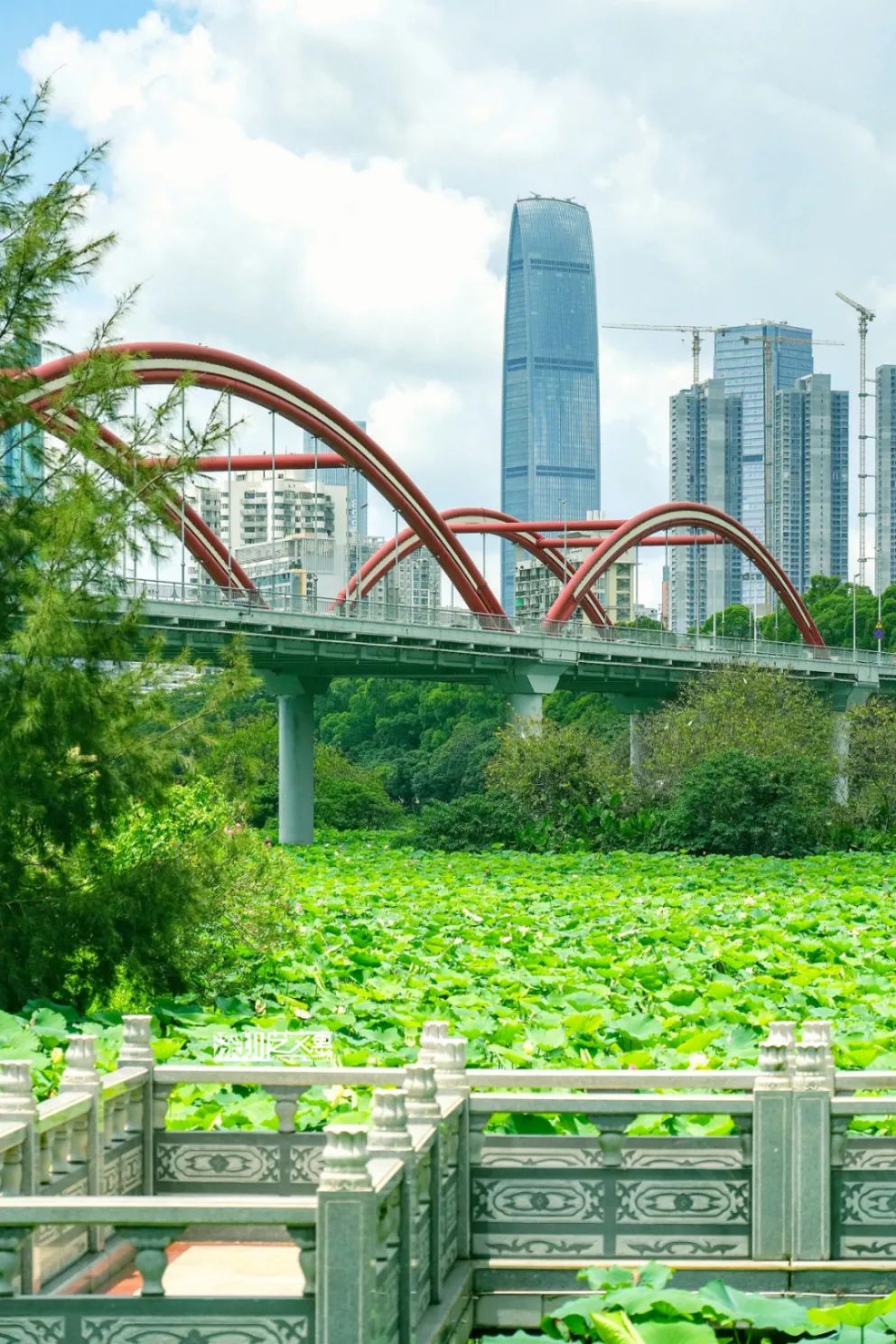 微信图片_20250616142306.jpg
