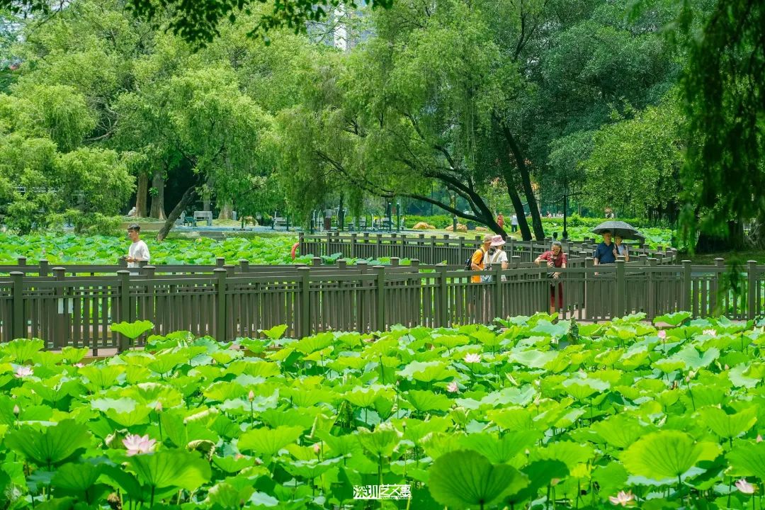 微信图片_20250616142310.jpg
