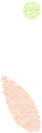 微信图片_20250721114925.png