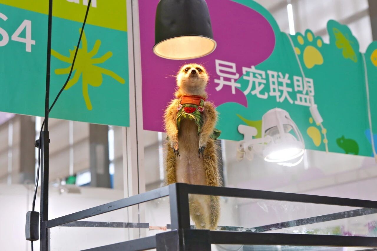 微信图片_2026-09-24_154419_587.jpg
